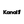 Kanal1