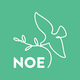 TV Noe