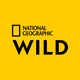 National Geographic Wild